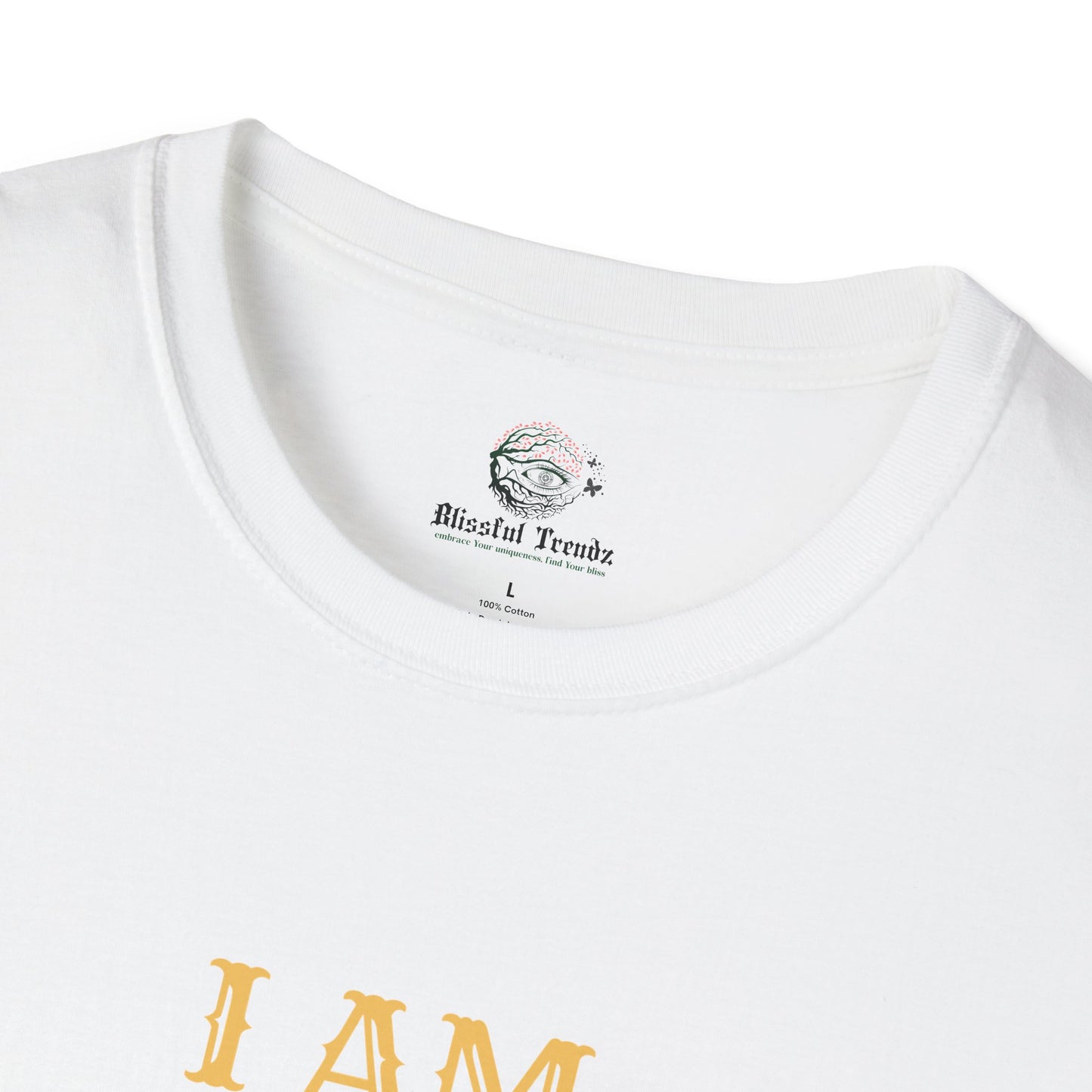 I AM Perfect In My Imperfection Unisex Softstyle T-Shirt