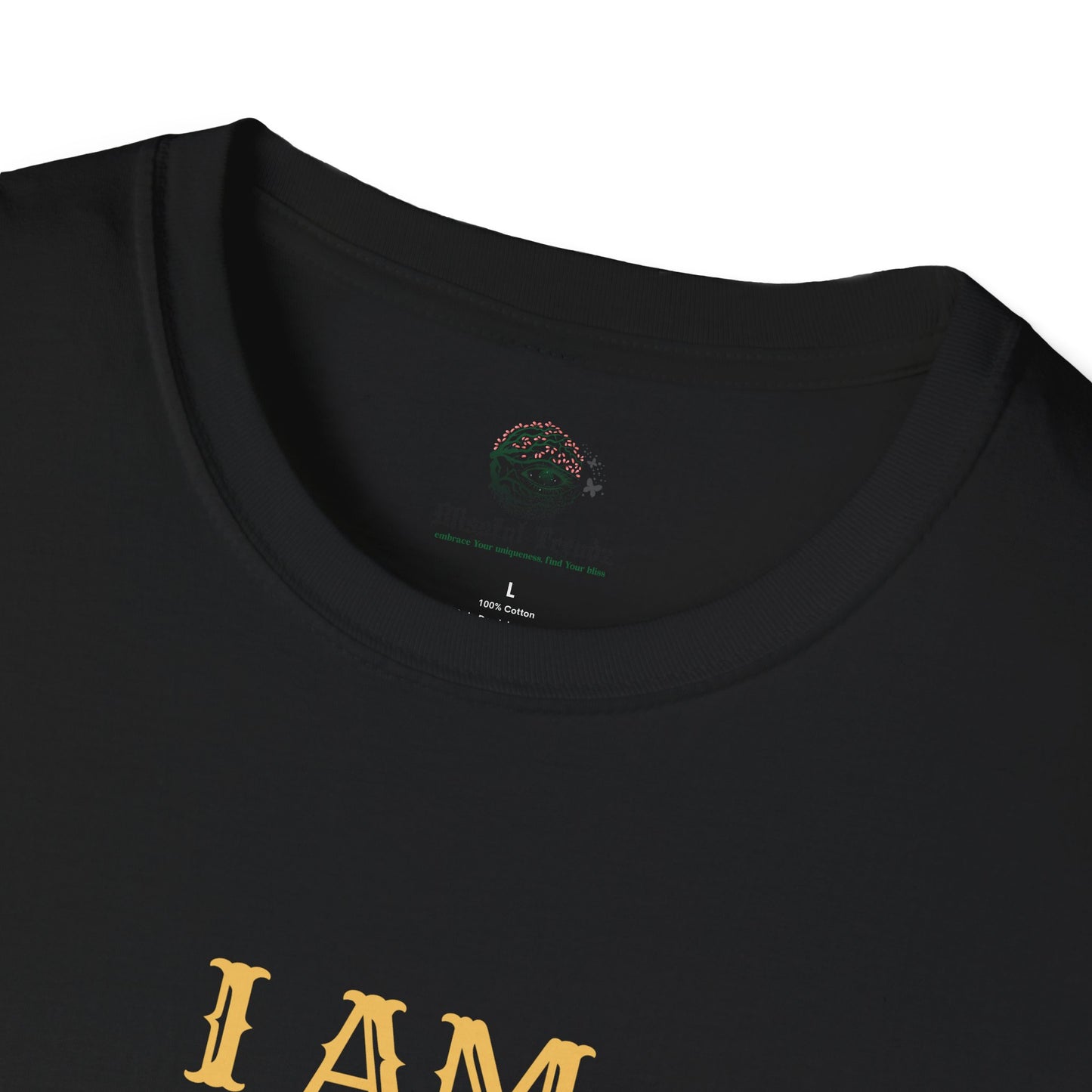 I AM Perfect In My Imperfection Unisex Softstyle T-Shirt