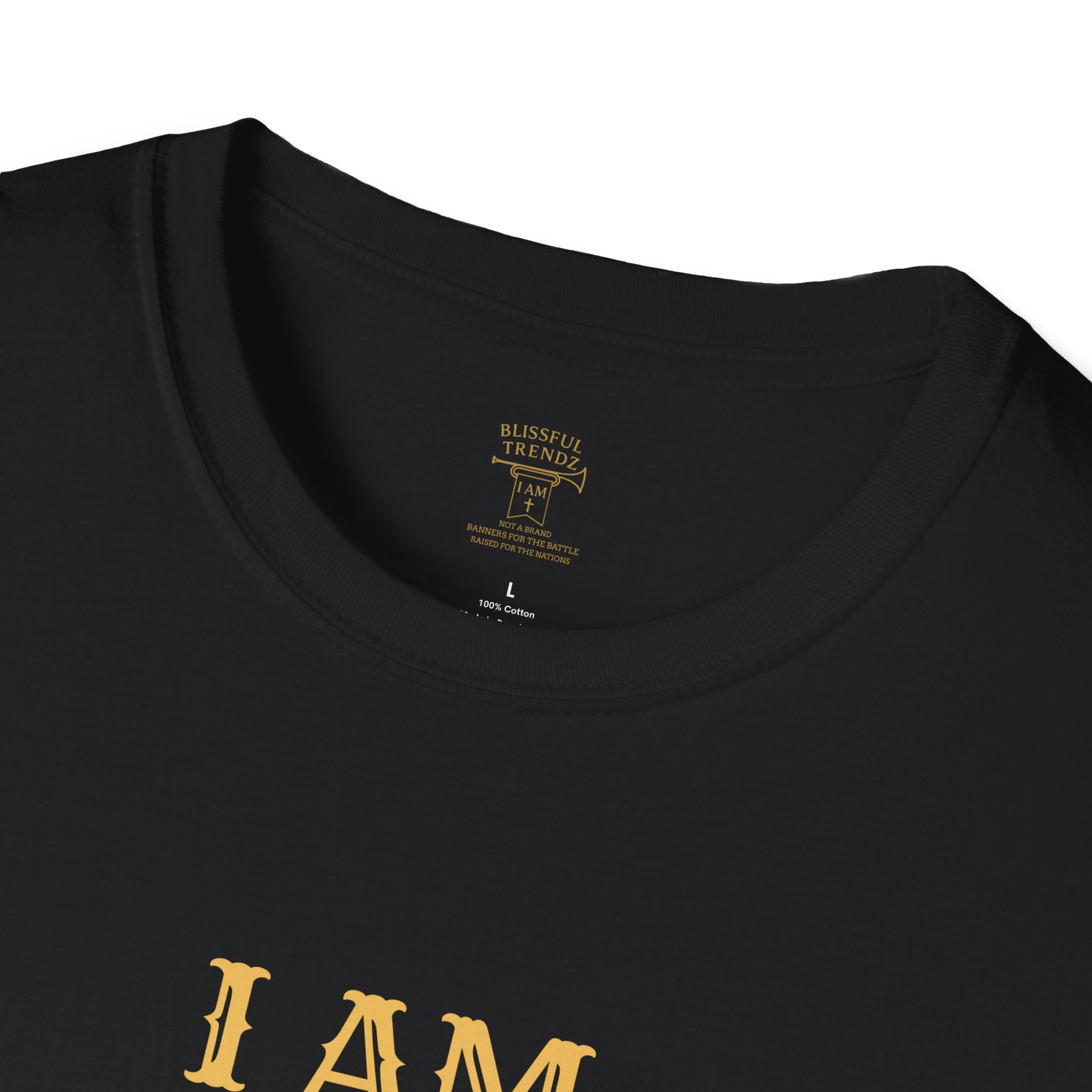 I AM Perfect In My Imperfection Unisex Softstyle T-Shirt - Heart - Image 4